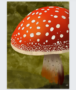 Poster paddenstoel