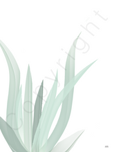 Afbeelding in Gallery-weergave laden, Poster plant: Aloe vera plant witte achtergrond

