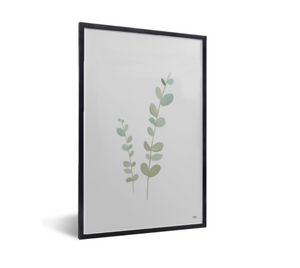 poster eucalyptus plant in zwarte lijst